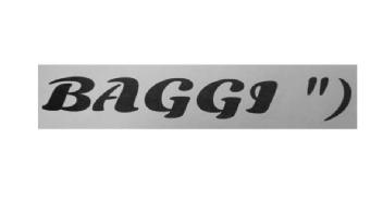 Imagen de BAGGI 
