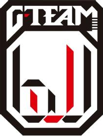 Imagen de GTEAM BJJ