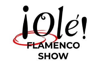 Imagen de ¡Olé! FLAMENCO SHOW