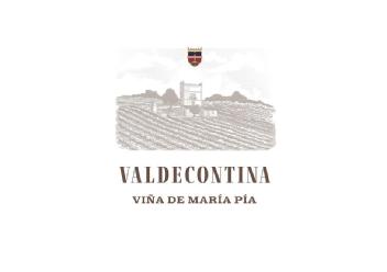 Imagen de VALDECONTINA VIÑA DE MARÍA PÍA