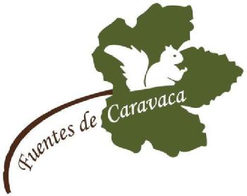 Imagen de FUENTES DE CARAVACA