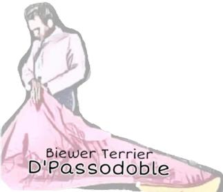 Imagen de D'Passodoble
