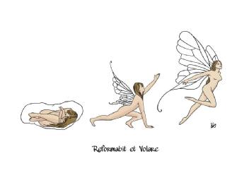 Imagen de Reformabit et Volare
