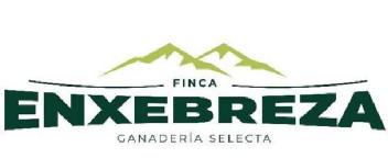 Imagen de FINCA ENXEBREZA GANADERIA SELECTA