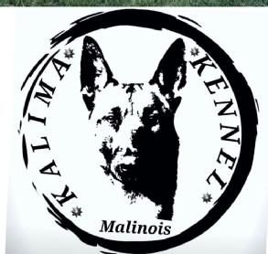 Imagen de KALIMA KENNEL MALINOIS