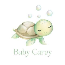 Imagen de Baby Carey