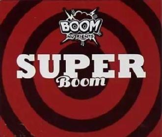 Imagen de BOOM NUTRIENTS SUPER BOOM