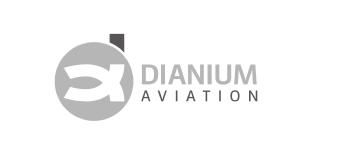Imagen de DIANIUM AVIATION