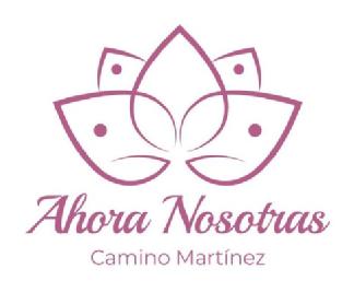 Imagen de AHORA NOSOTRAS CAMINO MARTINEZ