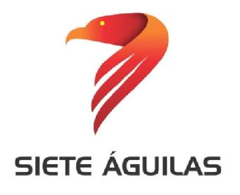 Imagen de SIETE ÁGUILAS