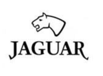 Imagen de JAGUAR