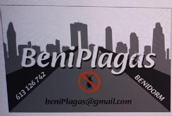 Imagen de BeniPlagas 613126742 BENIDORM beniPlagas@gmail.com