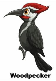 Imagen de Woodpecker