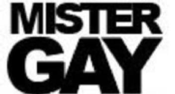 Imagen de MISTER GAY