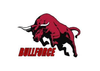 Imagen de BULLFORCE