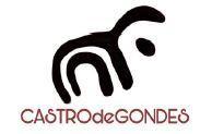 Imagen de CASTRO DE GONDES