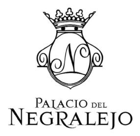 Imagen de N PALACIO DEL NEGRALEJO