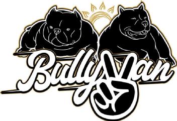 Imagen de Bullyvan