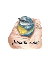 Imagen de ¡Inicia tu vuelo!
