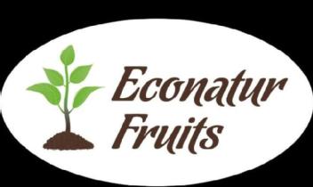 Imagen de ECONATUR FRUITS