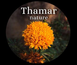 Imagen de THAMAR NATURE