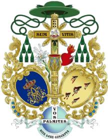 Imagen de SUM EGO VITIS VOS PALMITES SINE LABE CONCEPTA