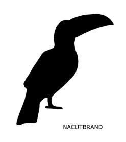 Imagen de NACUTBRAND