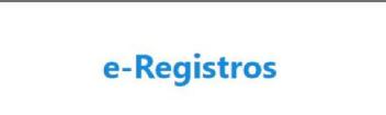Imagen de e-Registros