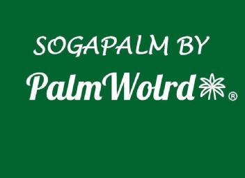 Imagen de SOGAPALM BY PALMWORLD