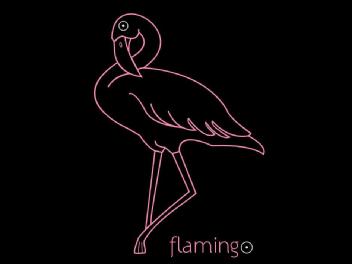 Imagen de flamingo
