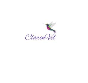 Imagen de ClarinVel