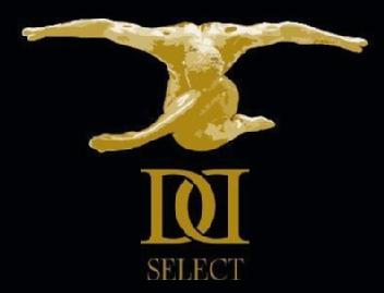 Imagen de DD SELECT