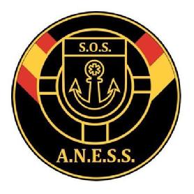Imagen de ANESS Academia Nacional de Emergencias Salvamento y Socorrismo