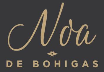 Imagen de NOA DE BOHIGAS