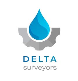Imagen de DELTA SURVEYORS