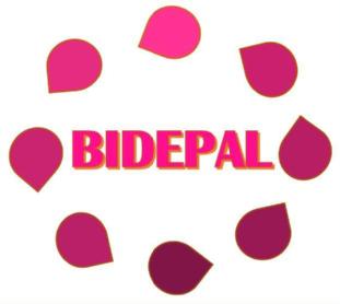 Imagen de BIDEPAL