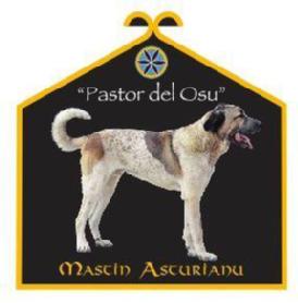 Imagen de 