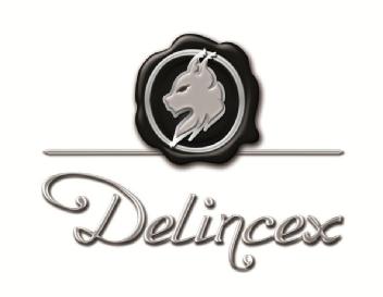 Imagen de DELINCEX
