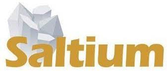 Imagen de SALTIUM