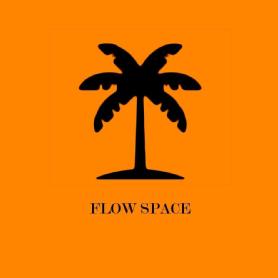 Imagen de FLOW SPACE