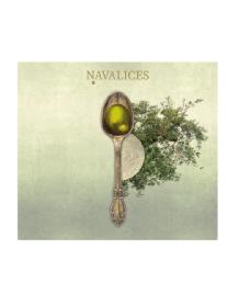 Imagen de NAVALICES