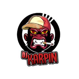Imagen de Dj Karpin