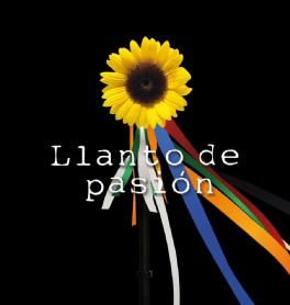 Imagen de LLANTO DE PASIÓN