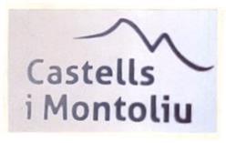 Imagen de CASTELLS I MONTOLIU