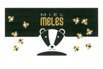 Imagen de MIEL MELES