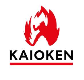 Imagen de KAIOKEN