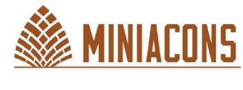 Imagen de Miniacons