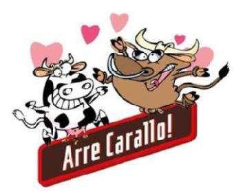 Imagen de ARRE CARALLO!