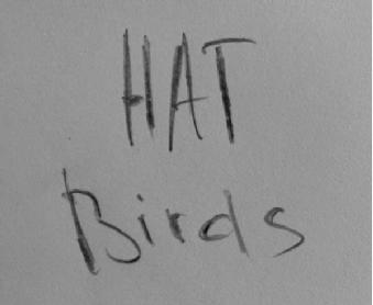 Imagen de HAT BIRDS, FIG