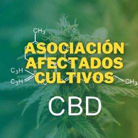 Imagen de ASOCIACIÓN AFECTADOS POR INVERSIONES EN CULTIVOS CBD